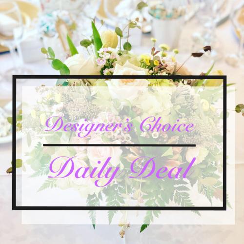 Designer\'s Choice Daily Deal