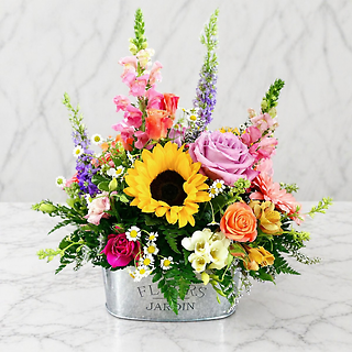 Fleurs & Jardin