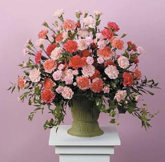 Pink & Peach Carnation Urn