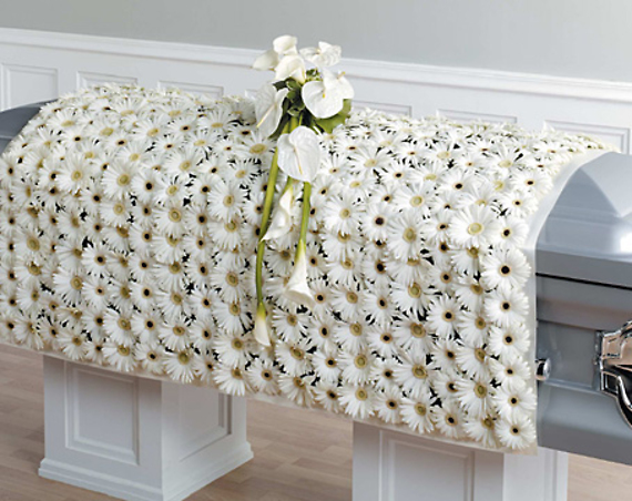 White Daisy Blanket