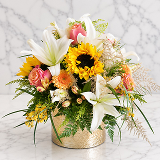 Spring Surprise
