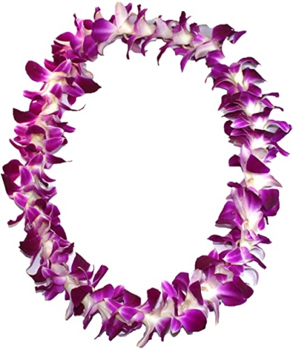 Graduation Lei